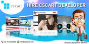 Hire CS Cart Developer & Get 40 % Save From Total Cost